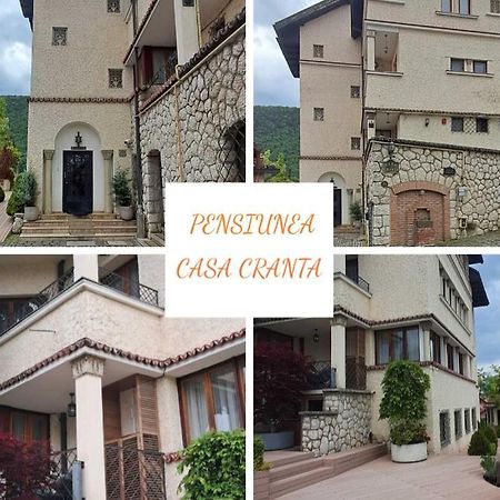 Casa Cranta Hotel Braşov Eksteriør billede